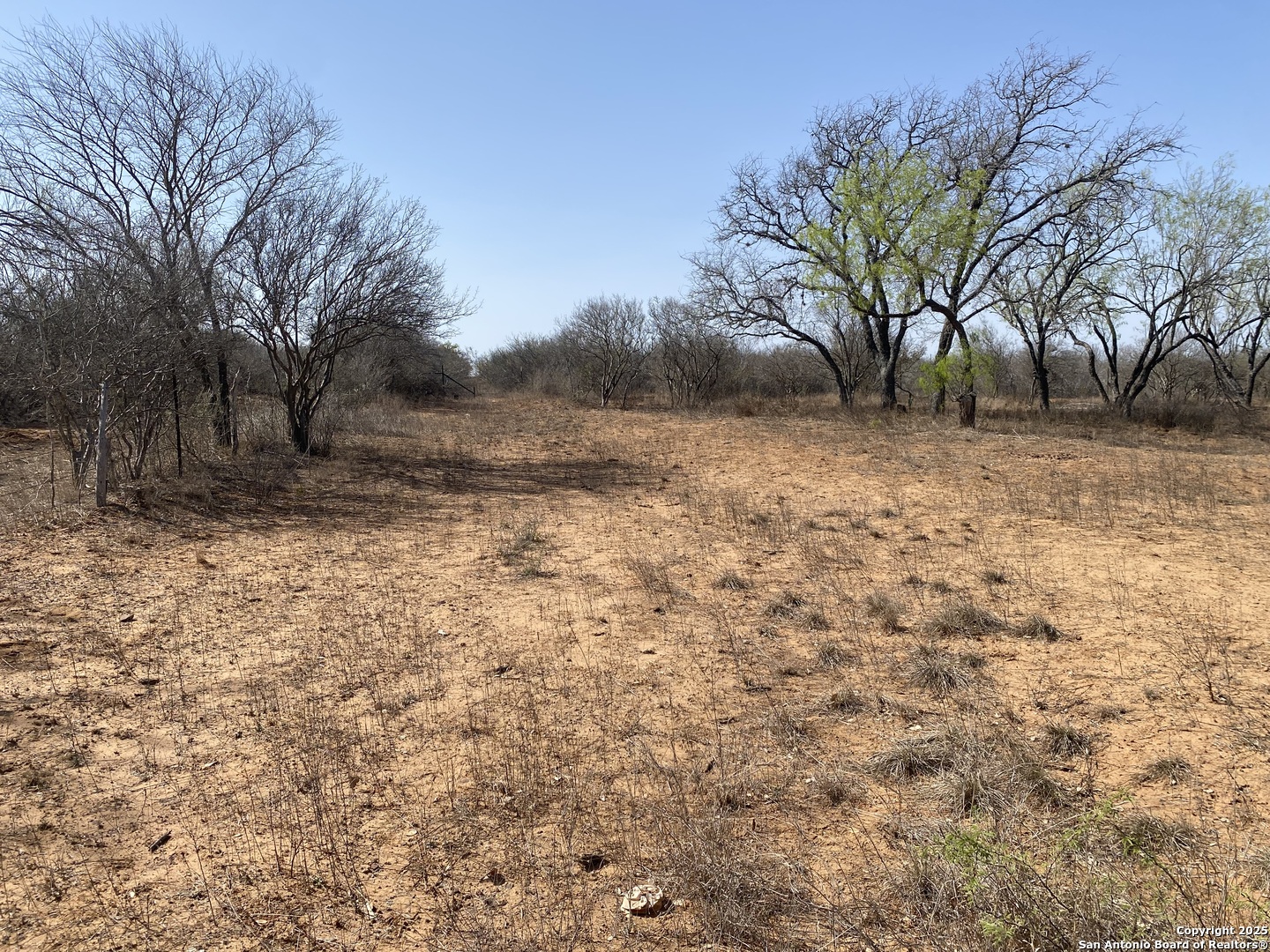 185 County Road 2662 Devine, TX 78016 - Photo 5 of 13