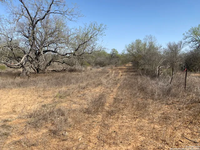 a view of a field with trees in the background