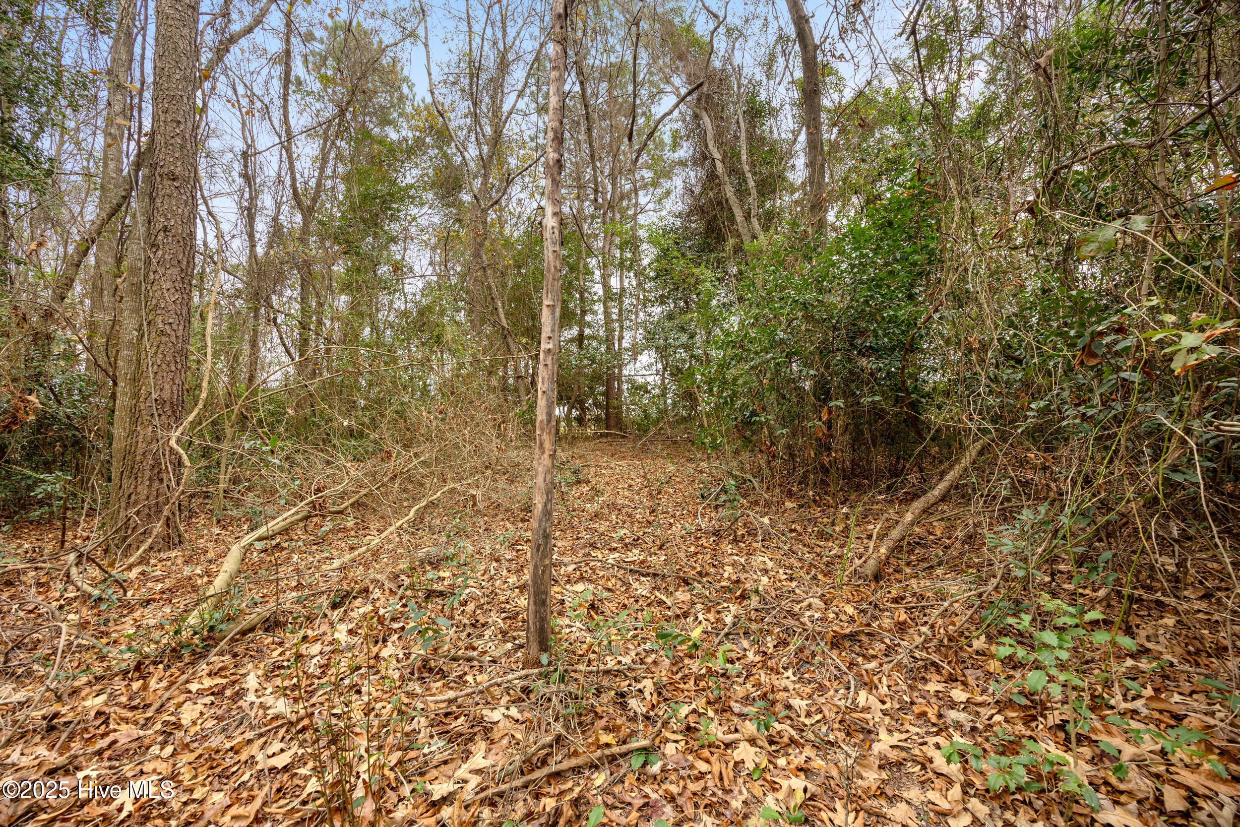 0 Gaddy's Mill Road Maxton, NC 28364 - Photo 16 of 24 16