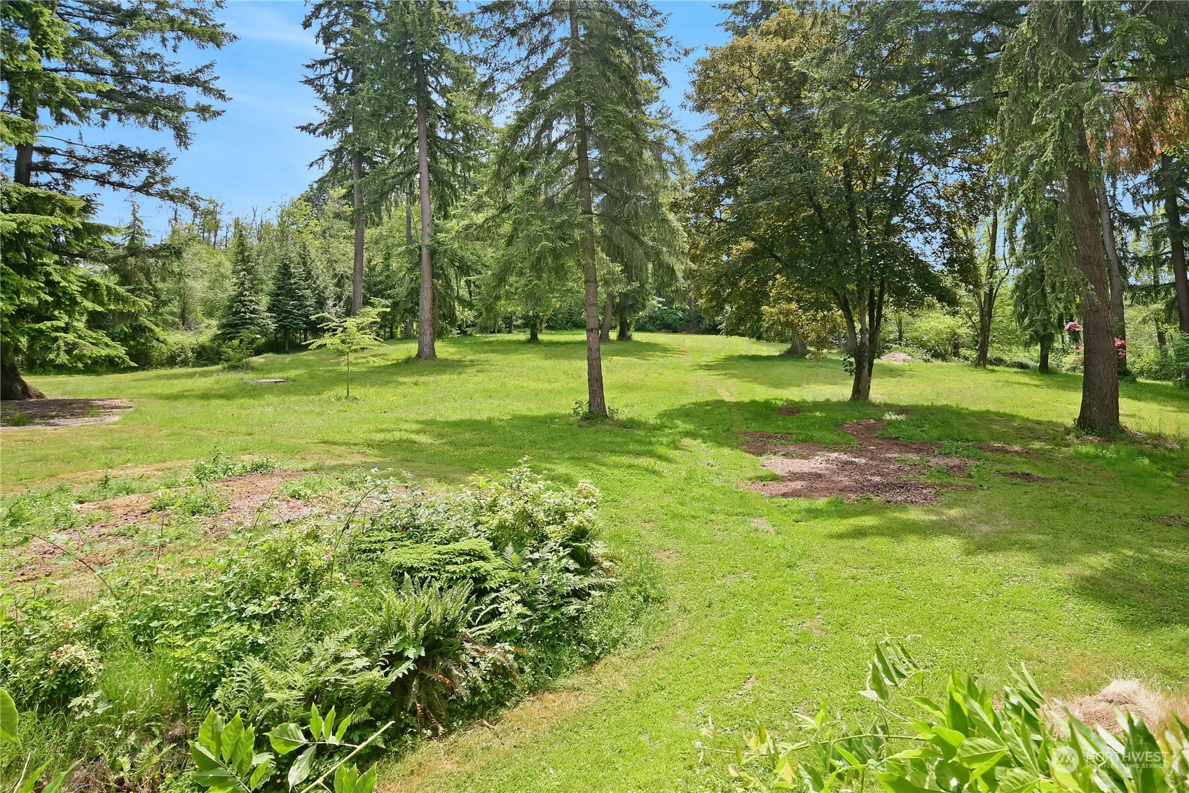 18724 High Rock Road Monroe, WA 98272 - Photo 36 of 39 a view of a park with large trees