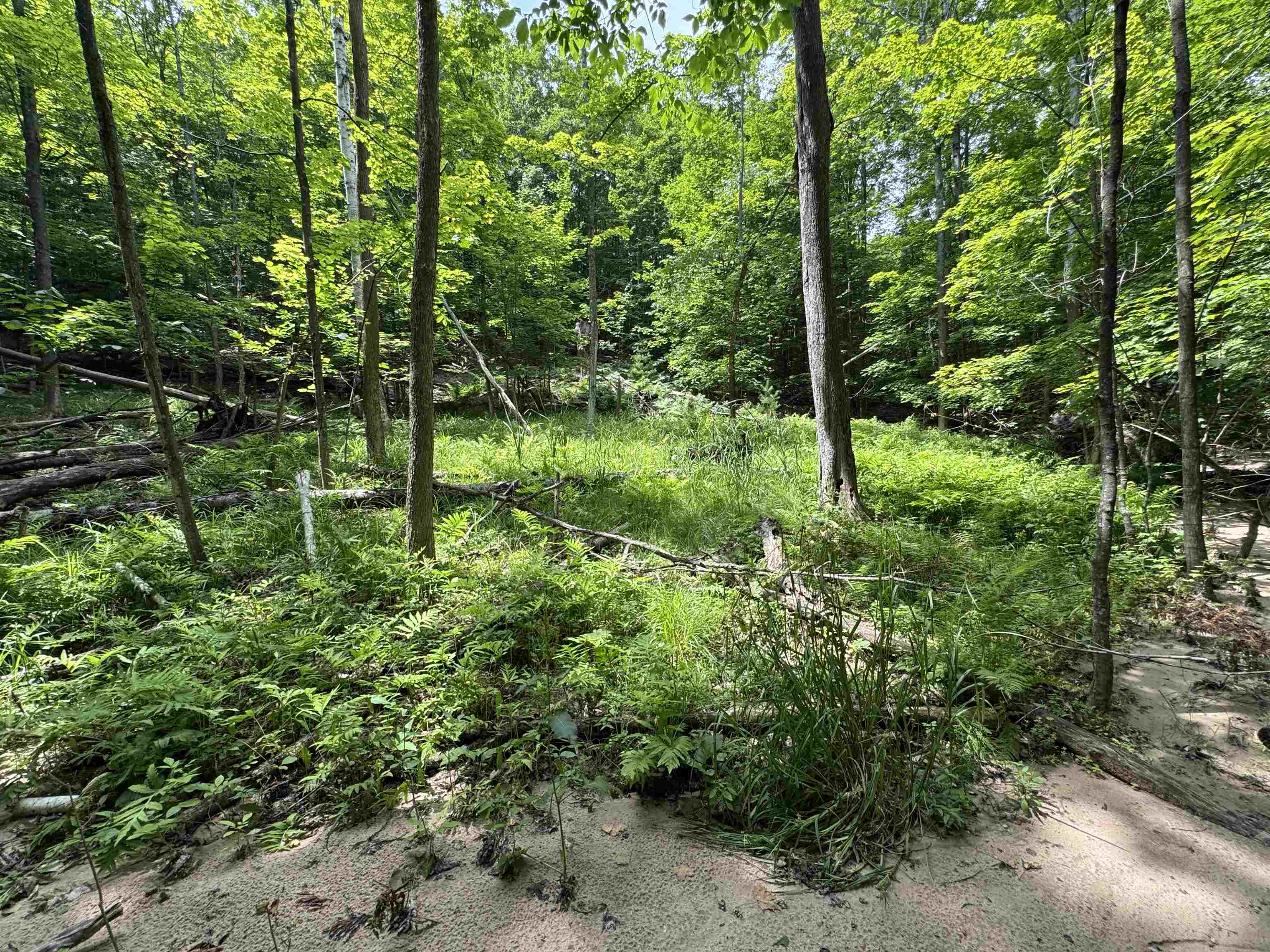 Lot #5 East Bellinger Road, Unit BELLINGER ESTATES LOT: 5 Cedar, MI 49621 - Photo 8 of 20
