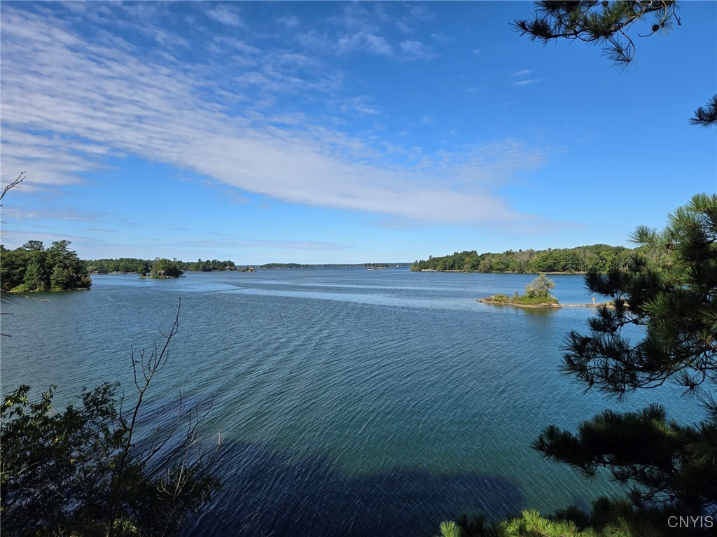 2 Mink Hammond, NY 13646 - Photo 3 of 43