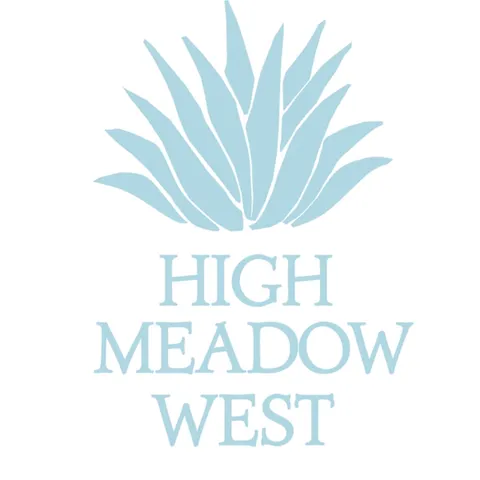 a childrens park with lots of swings slides and swimming pool in the back