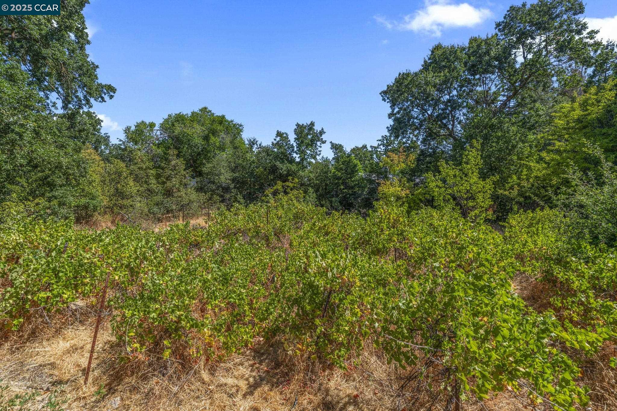 1910 San Miguel Drive Walnut Creek, CA 94596 - Photo 38 of 58