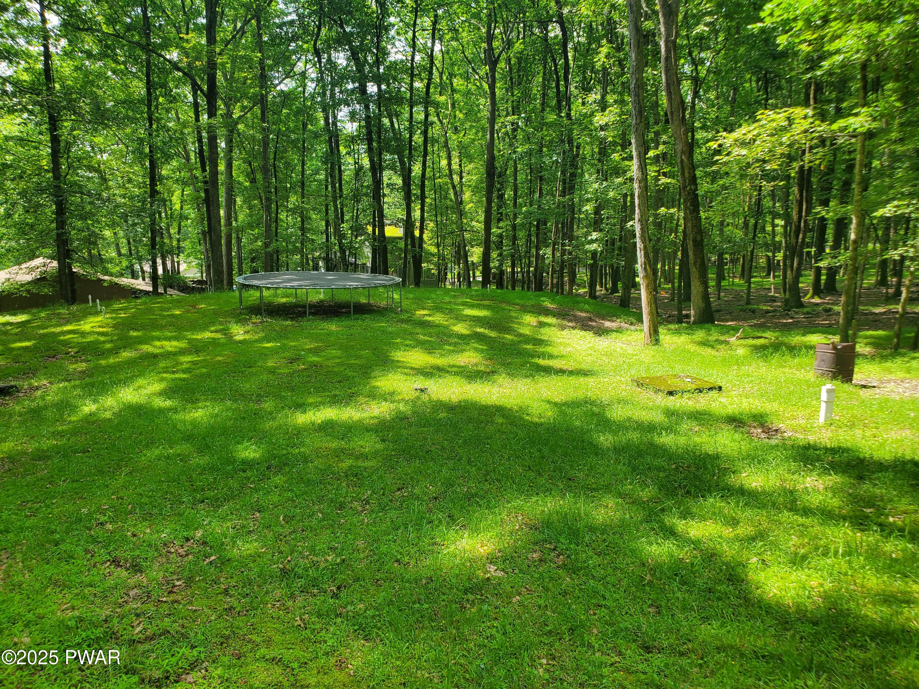 188 Forest Ridge Drive Hawley, PA 18428 - Photo 33 of 70 Backyard