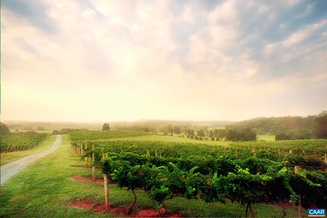 a picture of a wall with a white wall and a white wall