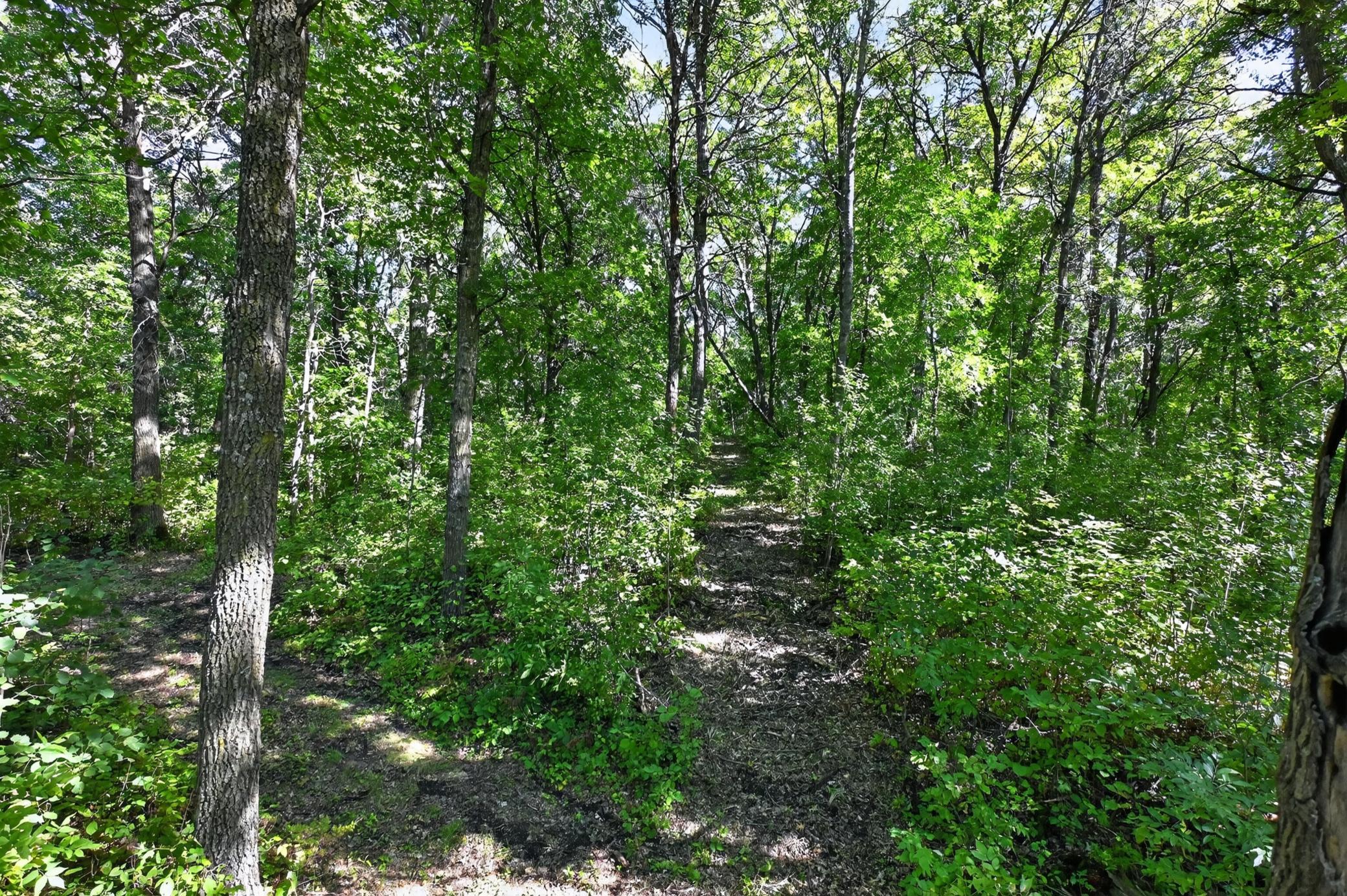 50540 Snow Lake Road Vining, MN 56588 - Photo 56 of 89 Gallery Image 56