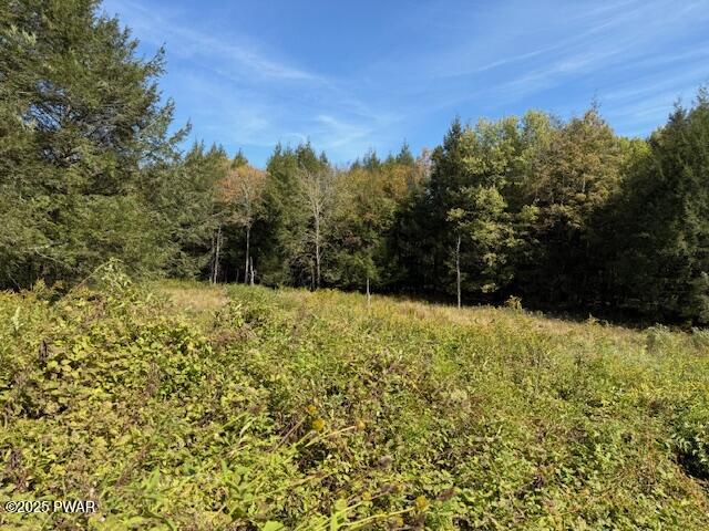 Fairmont Road Road Starrucca, PA 18462 - Photo 2 of 18