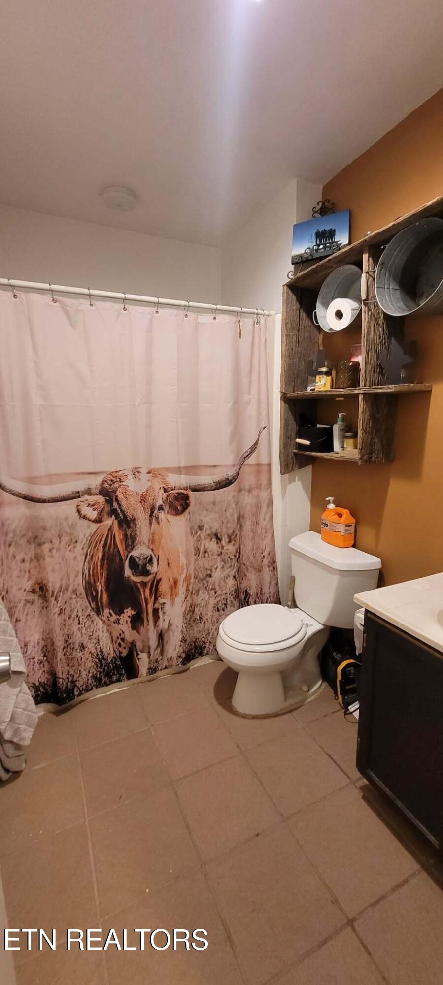 11 Cedar Hills Road Grandview, TN 37337 - Photo 18 of 58 Messenger_creation_CE1325FD-73C1-4FFC-8B