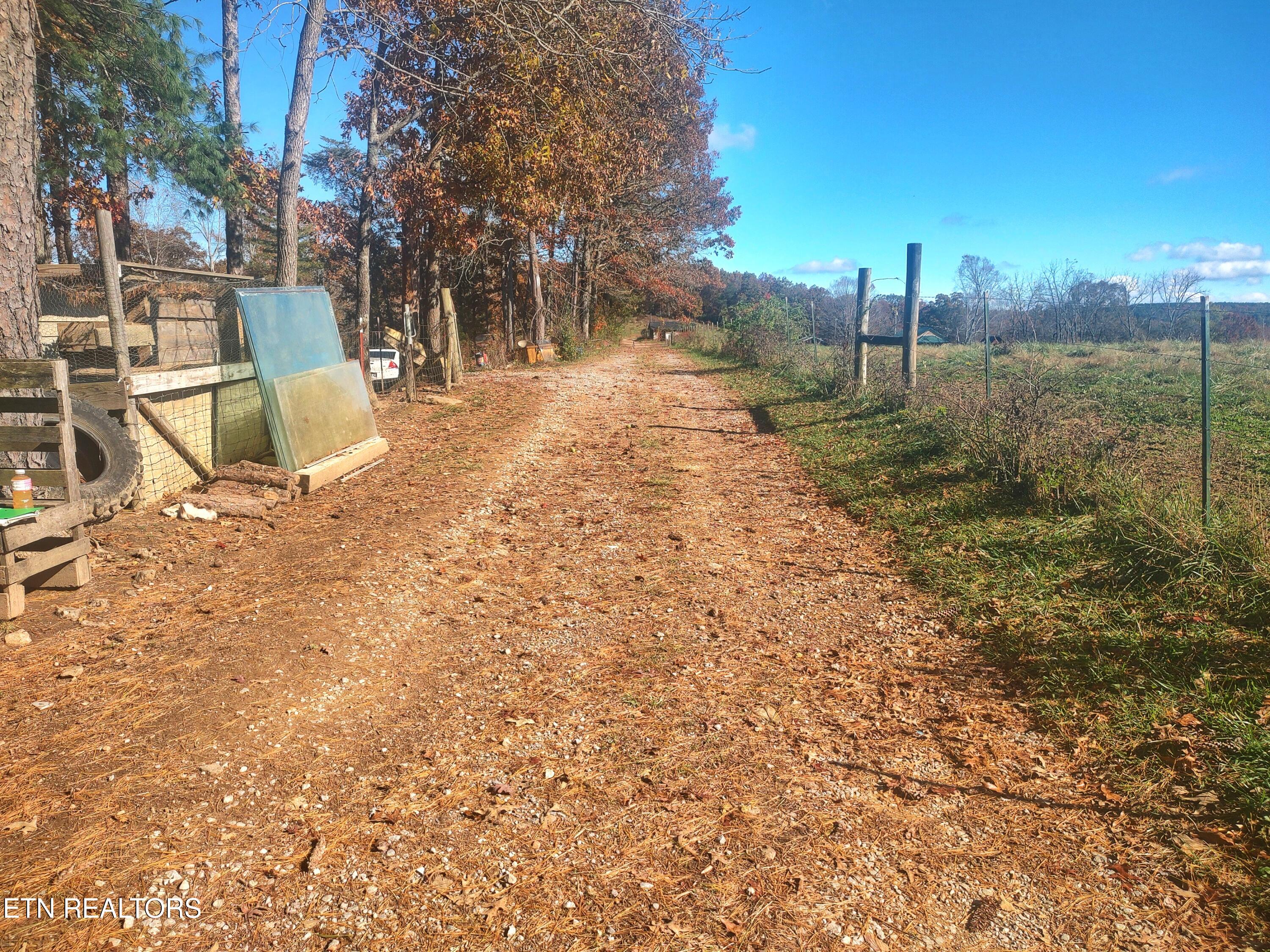 11 Cedar Hills Road Grandview, TN 37337 - Photo 48 of 58 1000005524