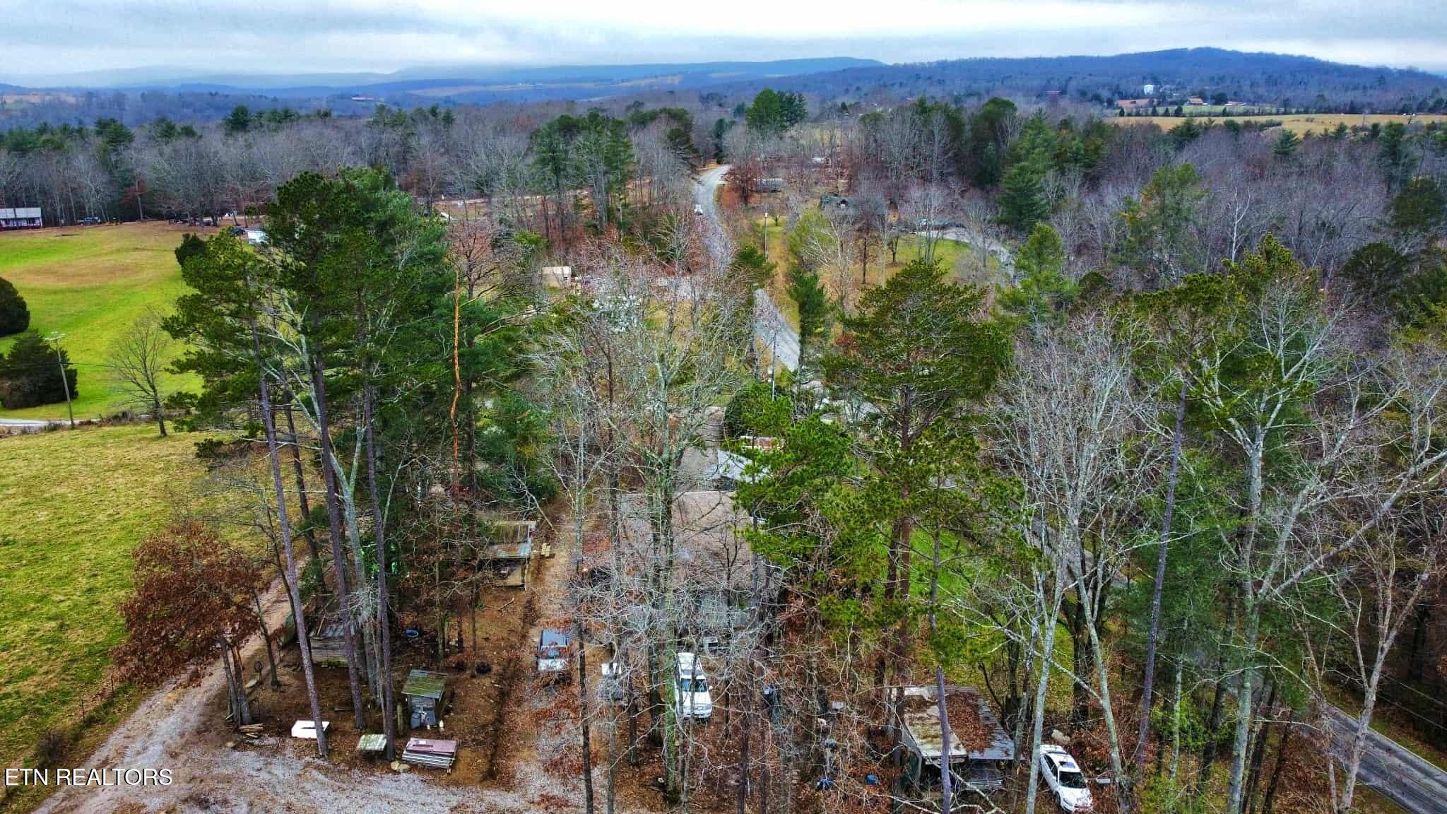 11 Cedar Hills Road Grandview, TN 37337 - Photo 53 of 58 Messenger_creation_B3722CA4-5E50-4E29-B5