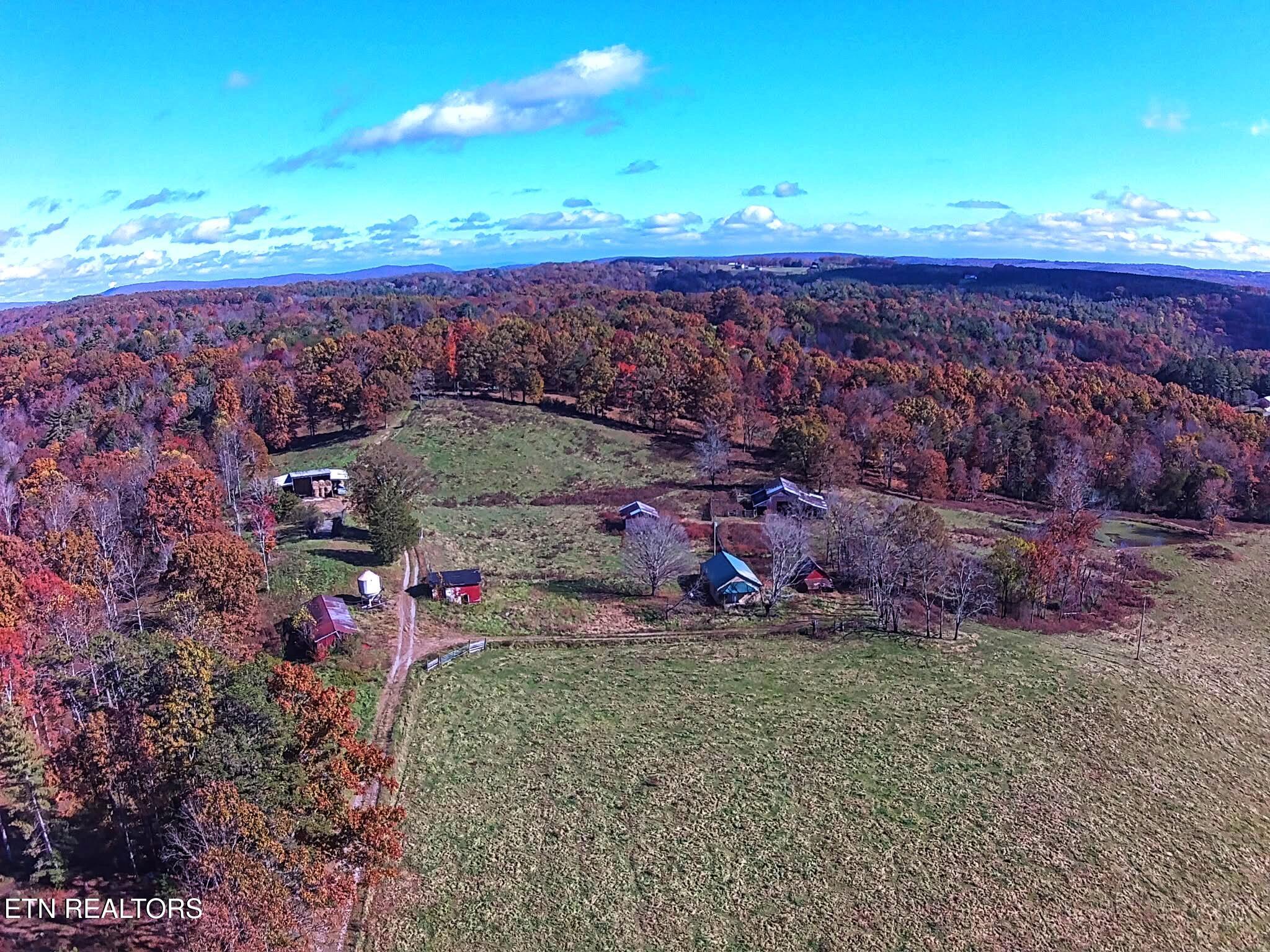 11 Cedar Hills Road Grandview, TN 37337 - Photo 57 of 58 1000005531