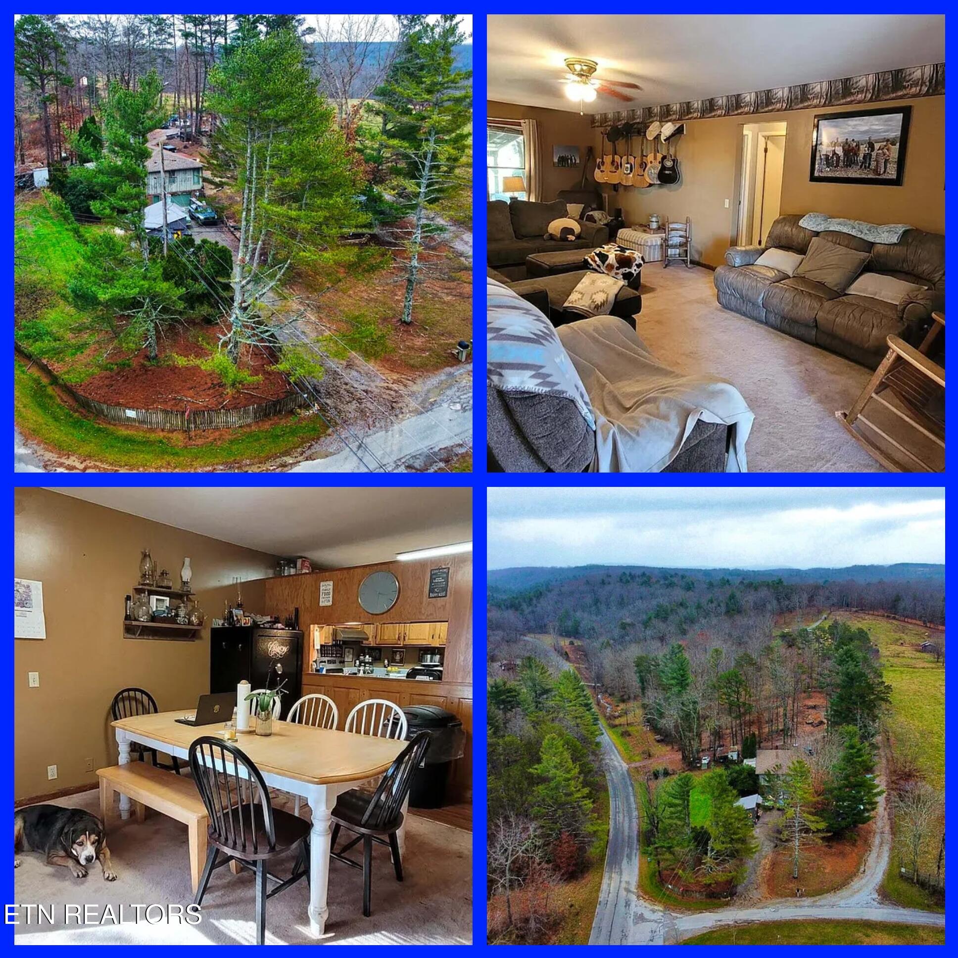 11 Cedar Hills Road Grandview, TN 37337 - Photo 58 of 58 Photo_2026-02-12_03-37-52_PM