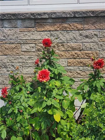 $649,000 | 33 Whipple Avenue, Westerly, RI 02891