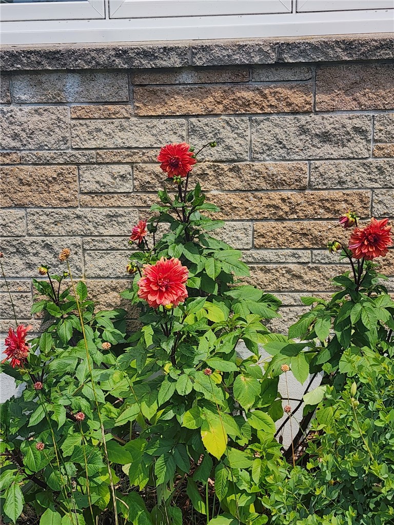 33 Whipple Avenue Westerly, RI 02891 - Photo 40 of 43