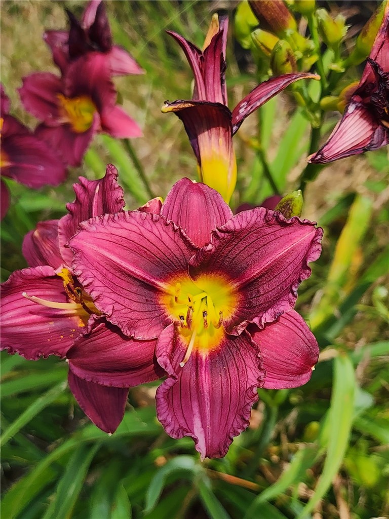 33 Whipple Avenue Westerly, RI 02891 - Photo 41 of 45