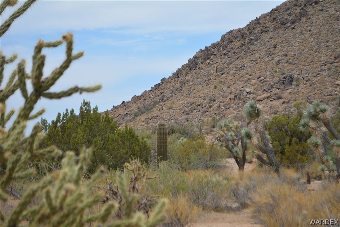 Lot 23 South Cheyenne Road Yucca, AZ 86438 - Photo 1 of 43 Gallery Image 1