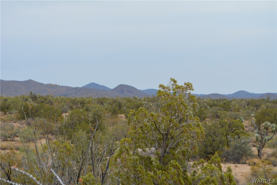 Lot 23 South Cheyenne Road Yucca, AZ 86438 - Photo 11 of 43 Gallery Image 11