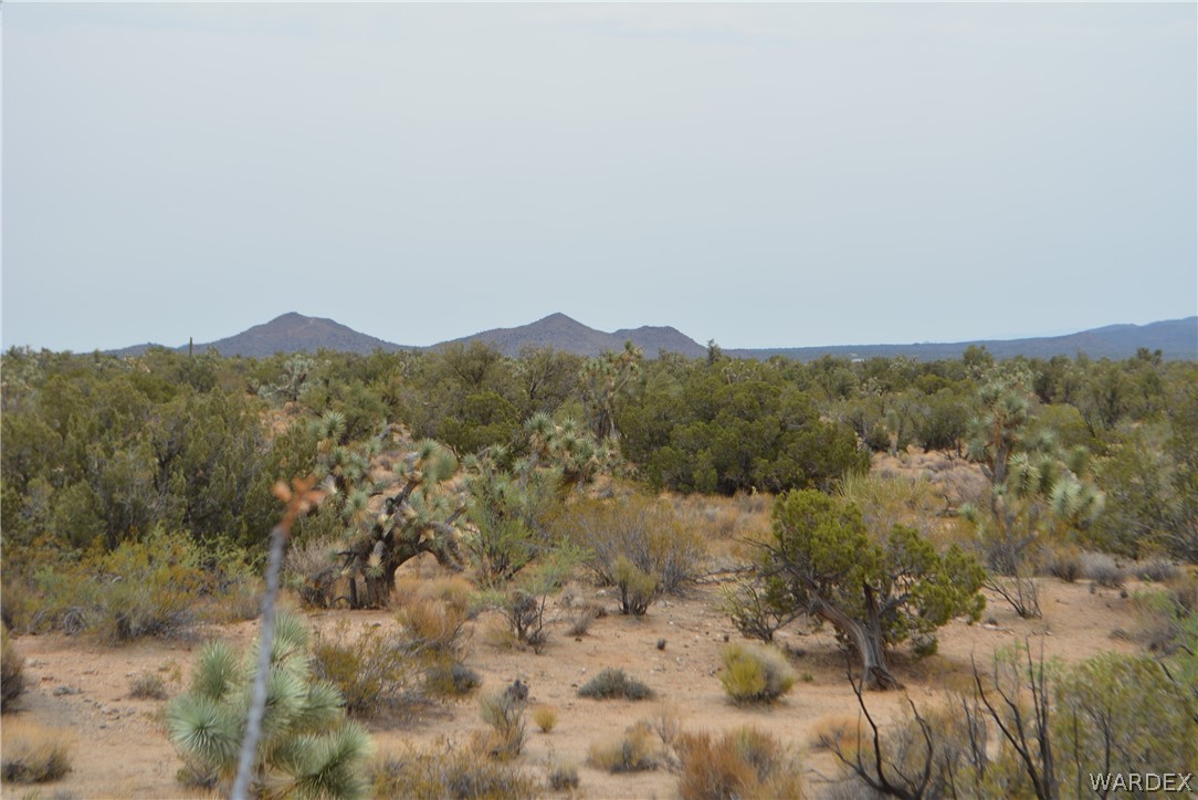 Lot 23 South Cheyenne Road Yucca, AZ 86438 - Photo 12 of 43 Gallery Image 12