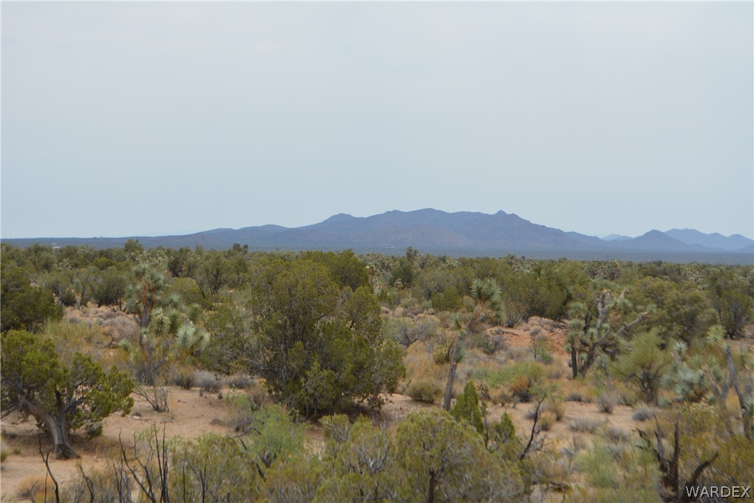 Lot 23 South Cheyenne Road Yucca, AZ 86438 - Photo 13 of 43 Gallery Image 13