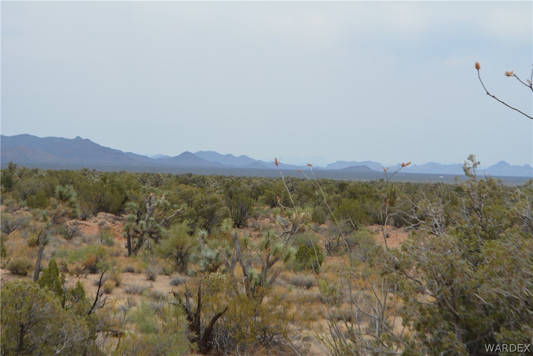 Lot 23 South Cheyenne Road Yucca, AZ 86438 - Photo 14 of 43 Gallery Image 14