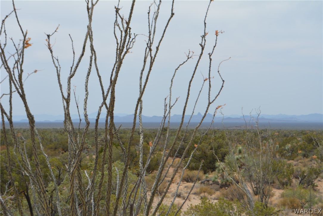 Lot 23 South Cheyenne Road Yucca, AZ 86438 - Photo 15 of 43 Gallery Image 15
