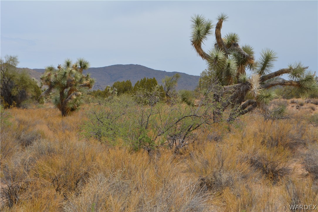 Lot 23 South Cheyenne Road Yucca, AZ 86438 - Photo 16 of 43 Gallery Image 16