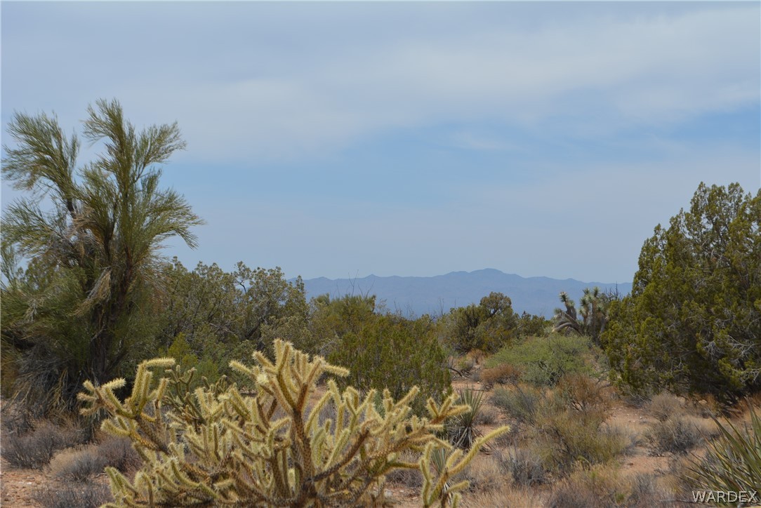 Lot 23 South Cheyenne Road Yucca, AZ 86438 - Photo 18 of 43 Gallery Image 18