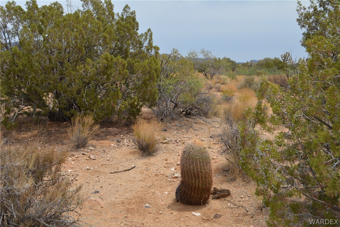 Lot 23 South Cheyenne Road Yucca, AZ 86438 - Photo 19 of 43 Gallery Image 19
