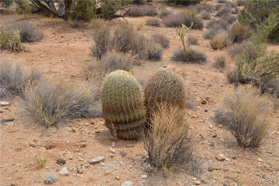 Lot 23 South Cheyenne Road Yucca, AZ 86438 - Photo 20 of 43 Gallery Image 20
