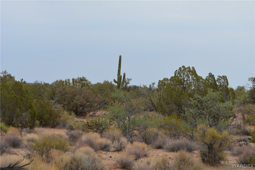 Lot 23 South Cheyenne Road Yucca, AZ 86438 - Photo 21 of 43 Gallery Image 21
