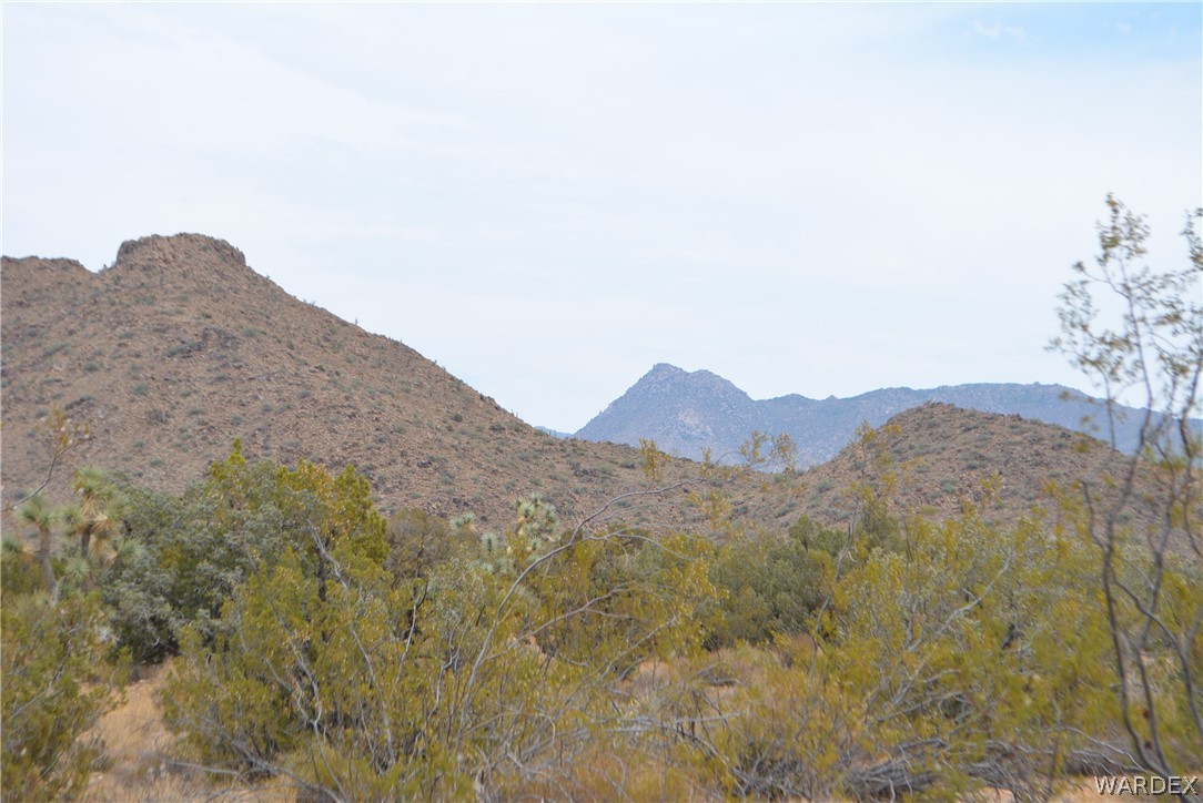 Lot 23 South Cheyenne Road Yucca, AZ 86438 - Photo 22 of 43 Gallery Image 22