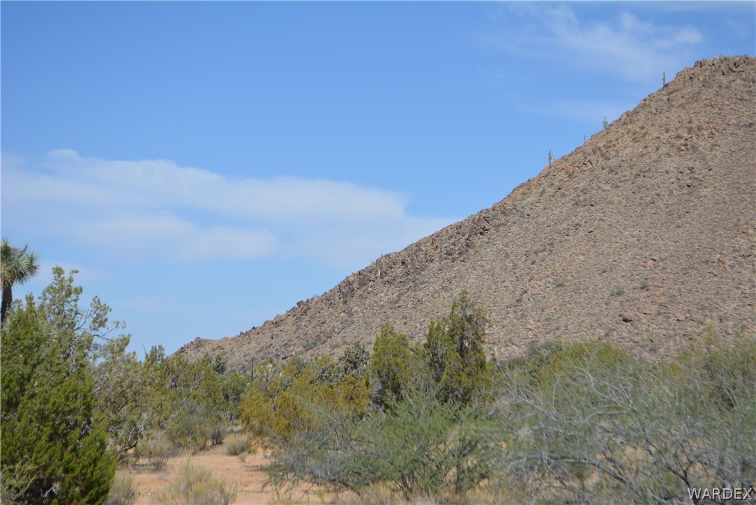 Lot 23 South Cheyenne Road Yucca, AZ 86438 - Photo 23 of 43 Gallery Image 23