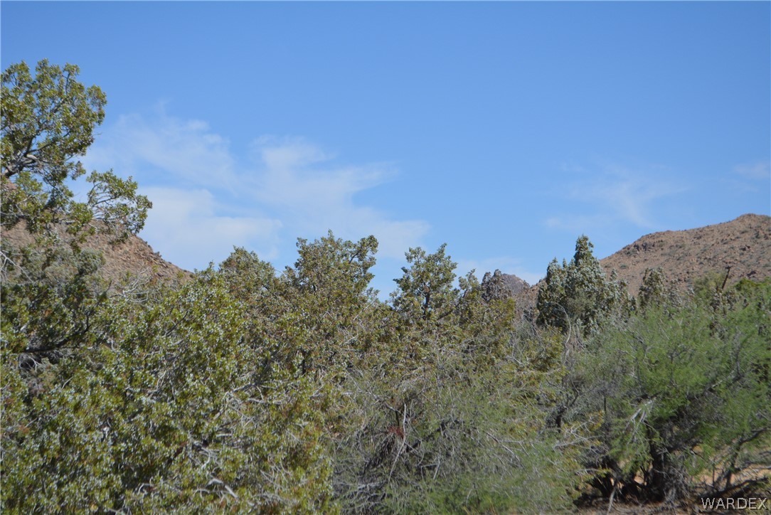 Lot 23 South Cheyenne Road Yucca, AZ 86438 - Photo 26 of 43 Gallery Image 26