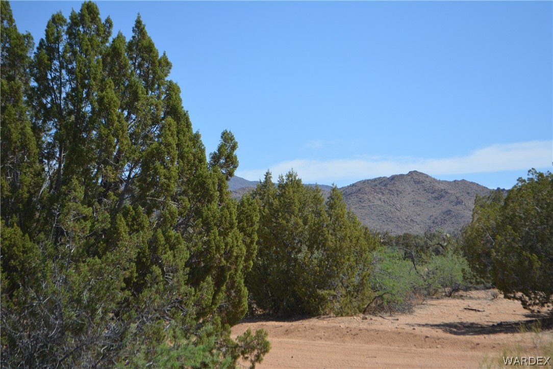 Lot 23 South Cheyenne Road Yucca, AZ 86438 - Photo 28 of 43 Gallery Image 28