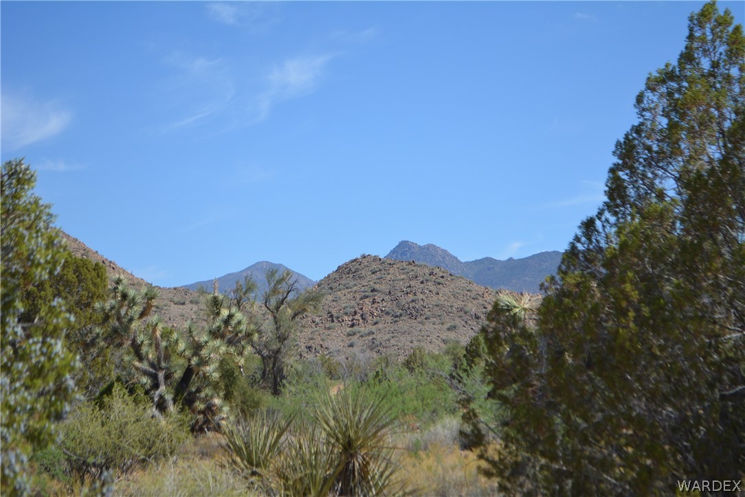 Lot 23 South Cheyenne Road Yucca, AZ 86438 - Photo 30 of 43 Gallery Image 30