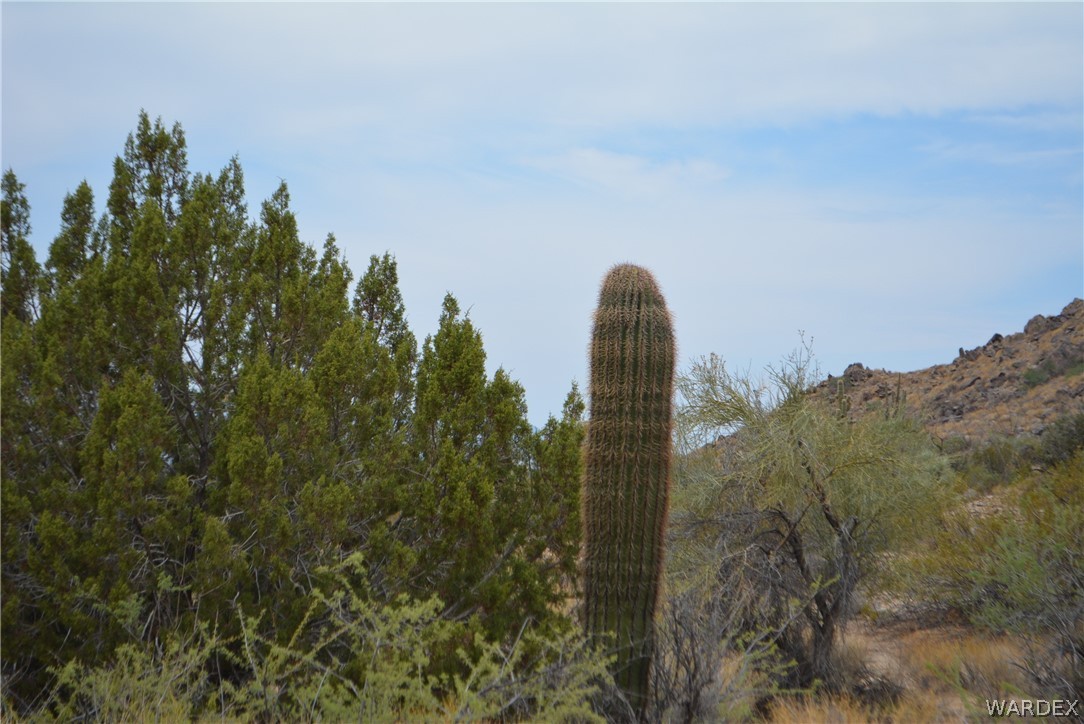 Lot 23 South Cheyenne Road Yucca, AZ 86438 - Photo 3 of 43 Gallery Image 3