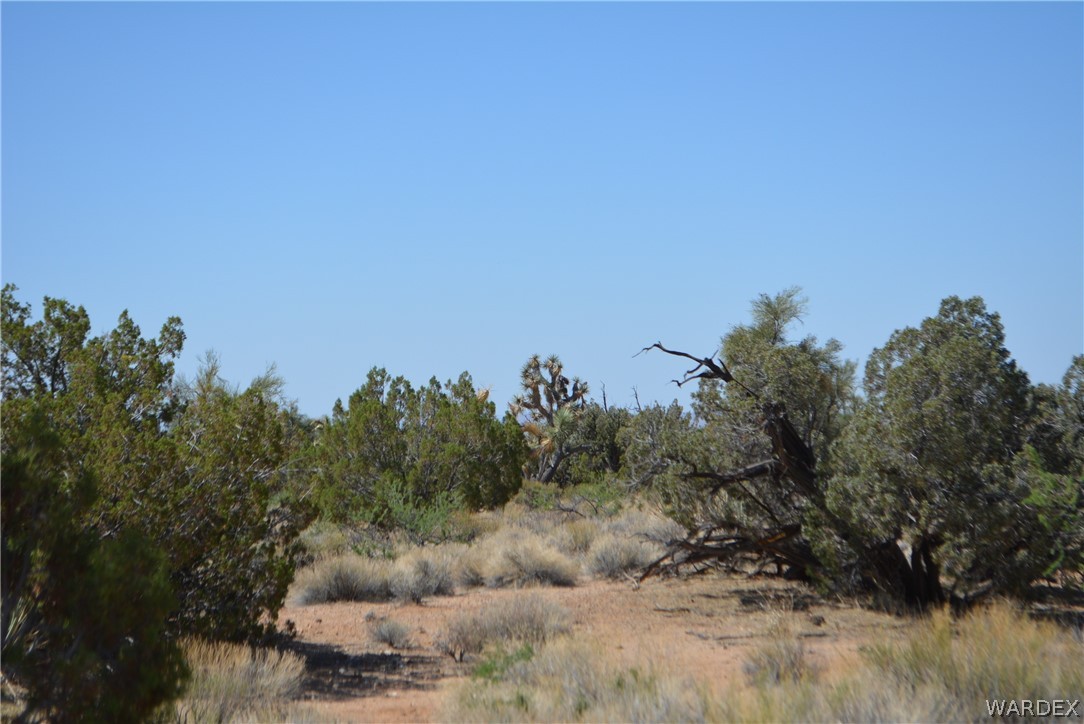 Lot 23 South Cheyenne Road Yucca, AZ 86438 - Photo 31 of 43 Gallery Image 31