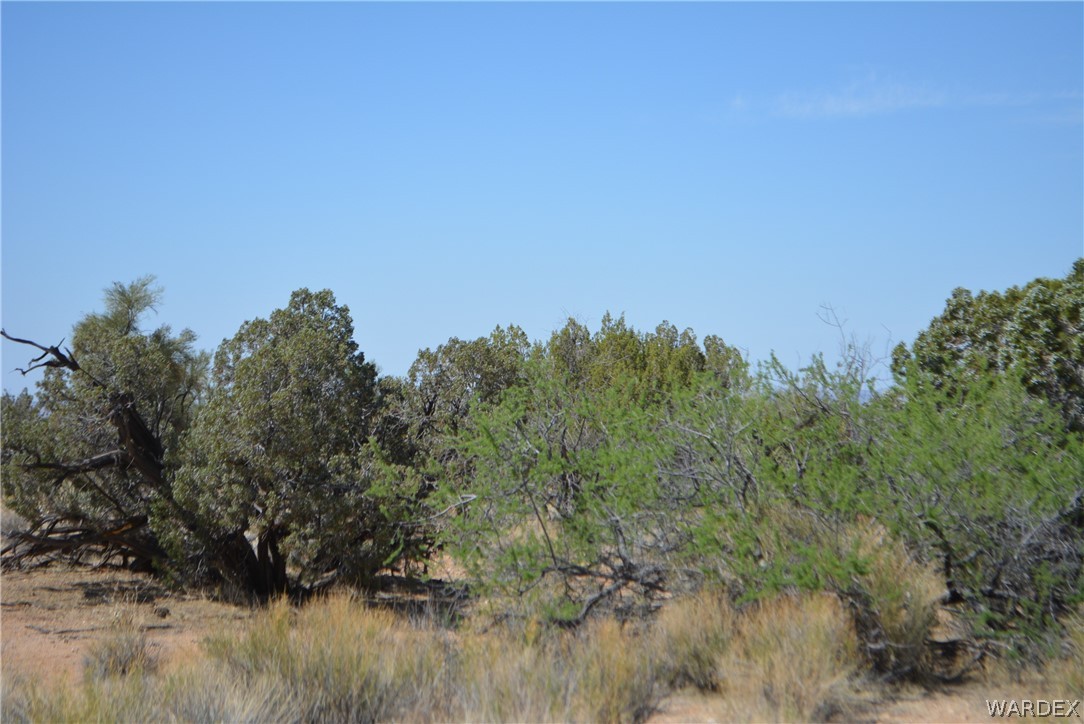 Lot 23 South Cheyenne Road Yucca, AZ 86438 - Photo 32 of 43 Gallery Image 32