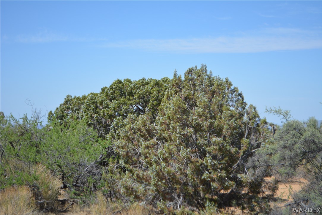 Lot 23 South Cheyenne Road Yucca, AZ 86438 - Photo 33 of 43 Gallery Image 33