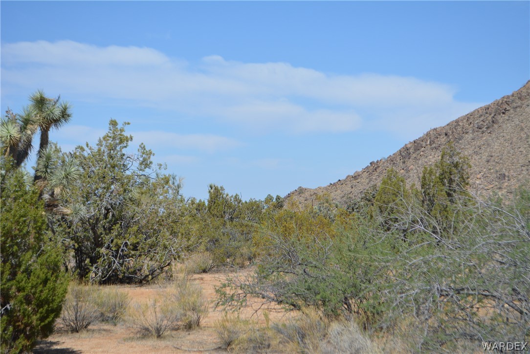 Lot 23 South Cheyenne Road Yucca, AZ 86438 - Photo 36 of 43 Gallery Image 36