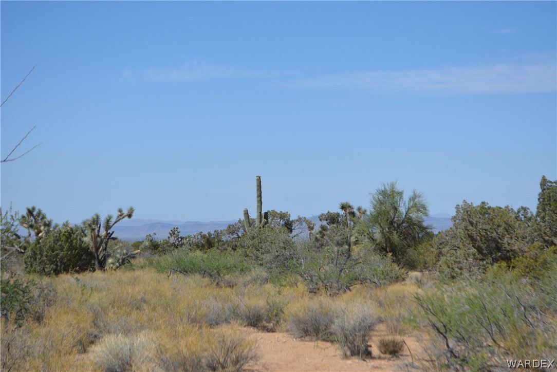 Lot 23 South Cheyenne Road Yucca, AZ 86438 - Photo 37 of 43 Gallery Image 37