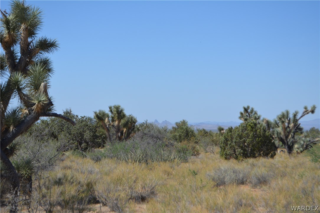 Lot 23 South Cheyenne Road Yucca, AZ 86438 - Photo 39 of 43 Gallery Image 39