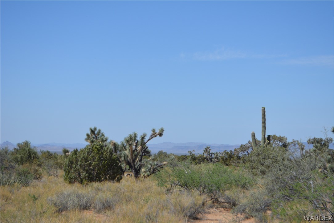 Lot 23 South Cheyenne Road Yucca, AZ 86438 - Photo 40 of 43 Gallery Image 40