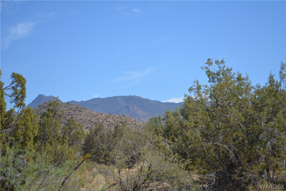 Lot 23 South Cheyenne Road Yucca, AZ 86438 - Photo 41 of 43 Gallery Image 41