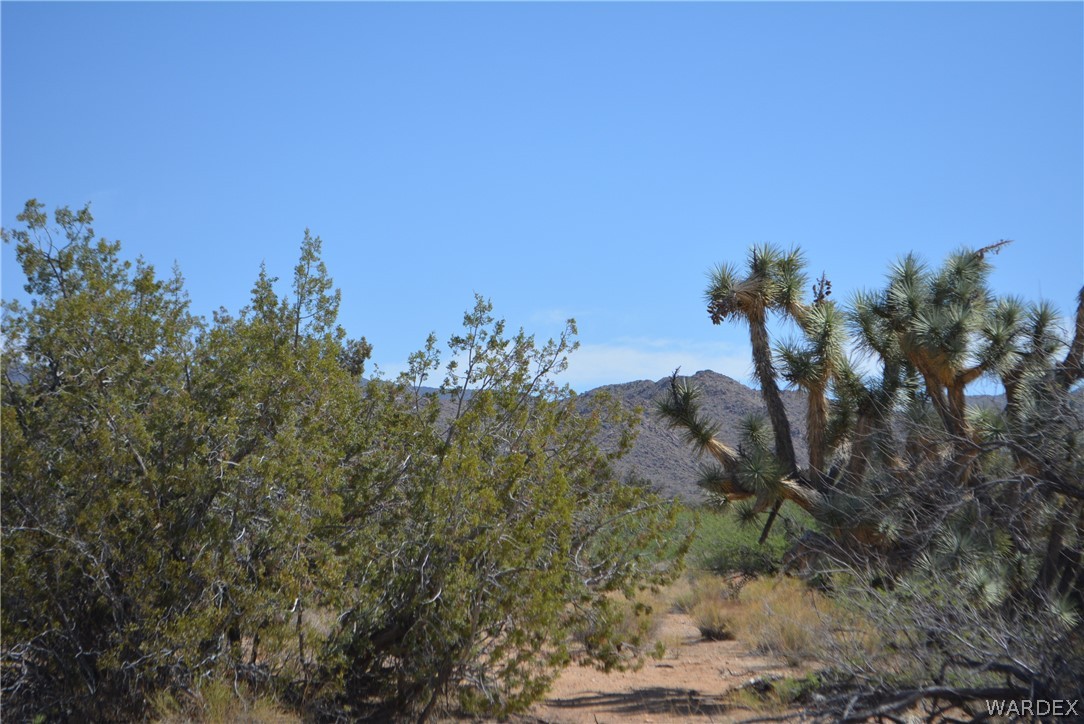 Lot 23 South Cheyenne Road Yucca, AZ 86438 - Photo 42 of 43 Gallery Image 42