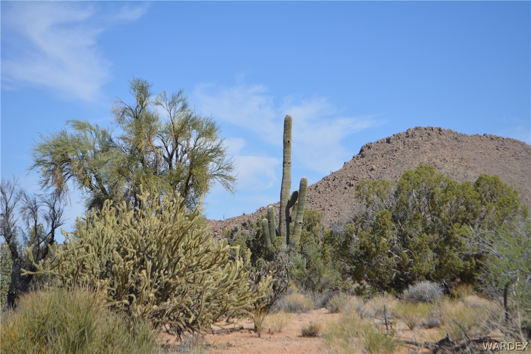 Lot 23 South Cheyenne Road Yucca, AZ 86438 - Photo 43 of 43 Gallery Image 43