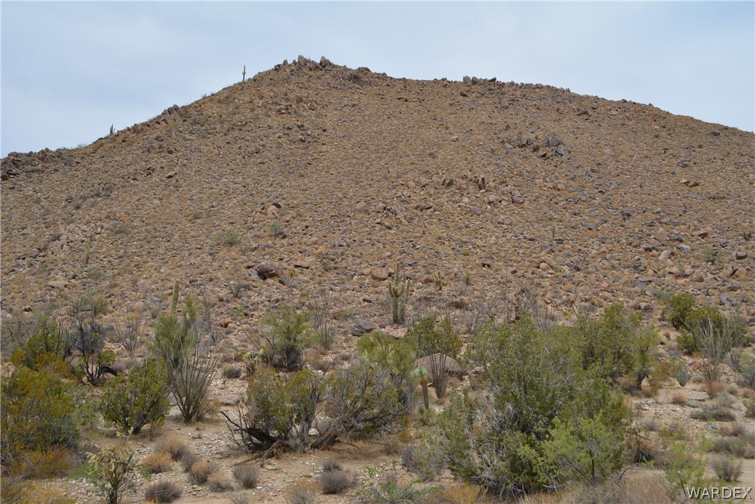 Lot 23 South Cheyenne Road Yucca, AZ 86438 - Photo 5 of 43 Gallery Image 5