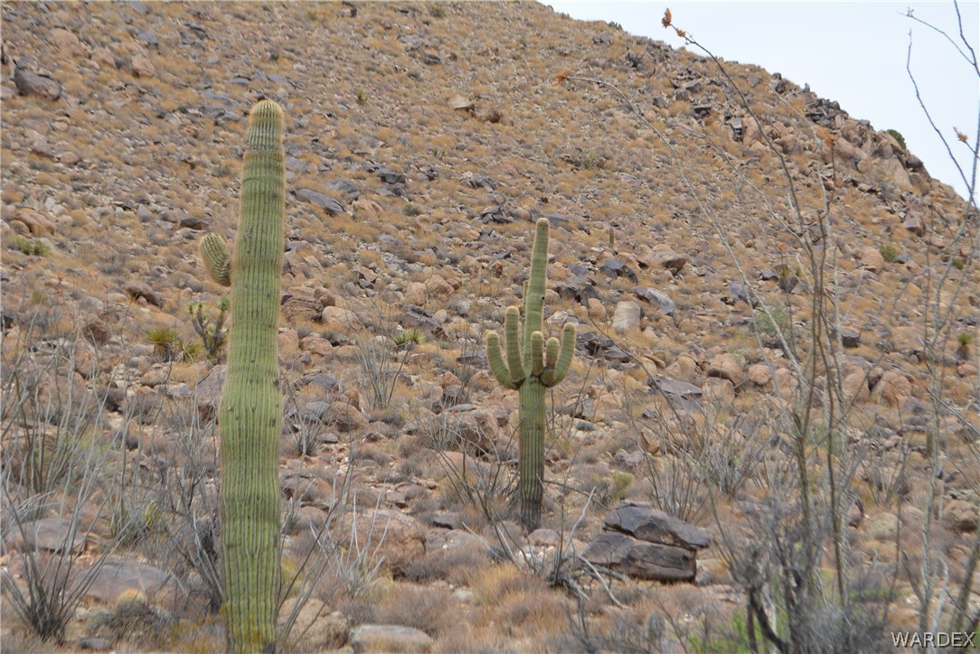 Lot 23 South Cheyenne Road Yucca, AZ 86438 - Photo 6 of 43 Gallery Image 6