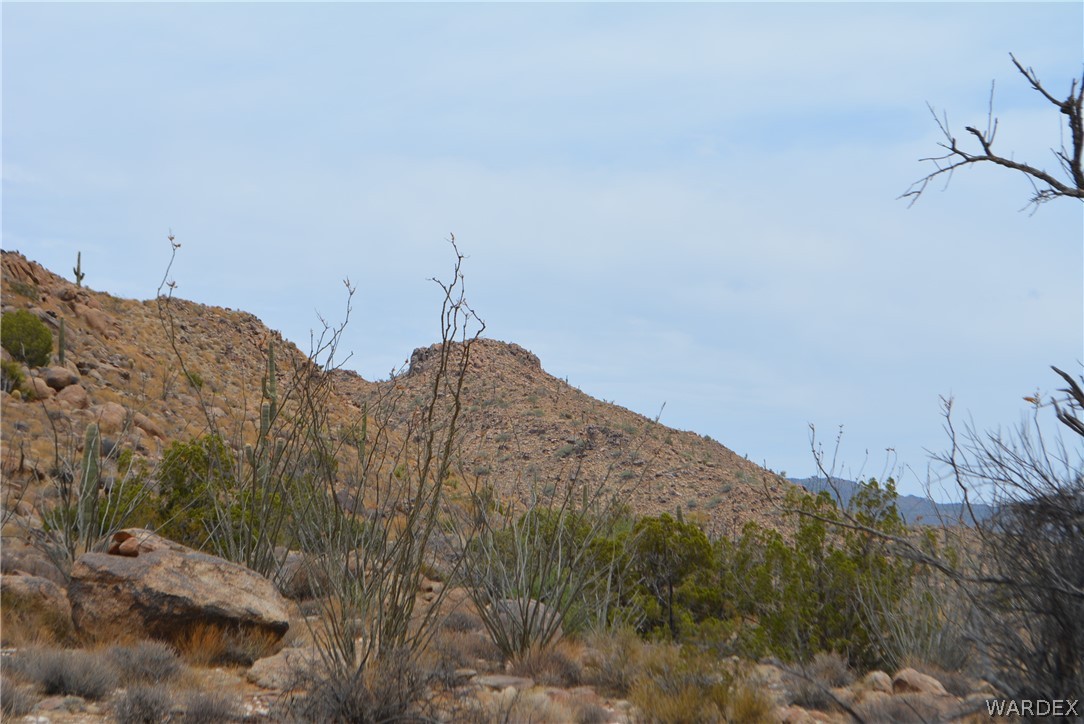 Lot 23 South Cheyenne Road Yucca, AZ 86438 - Photo 7 of 43 Gallery Image 7